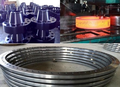 flange / flanges